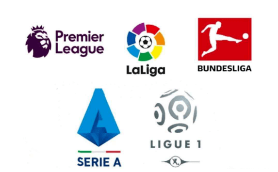 球队的全面 球队的全面